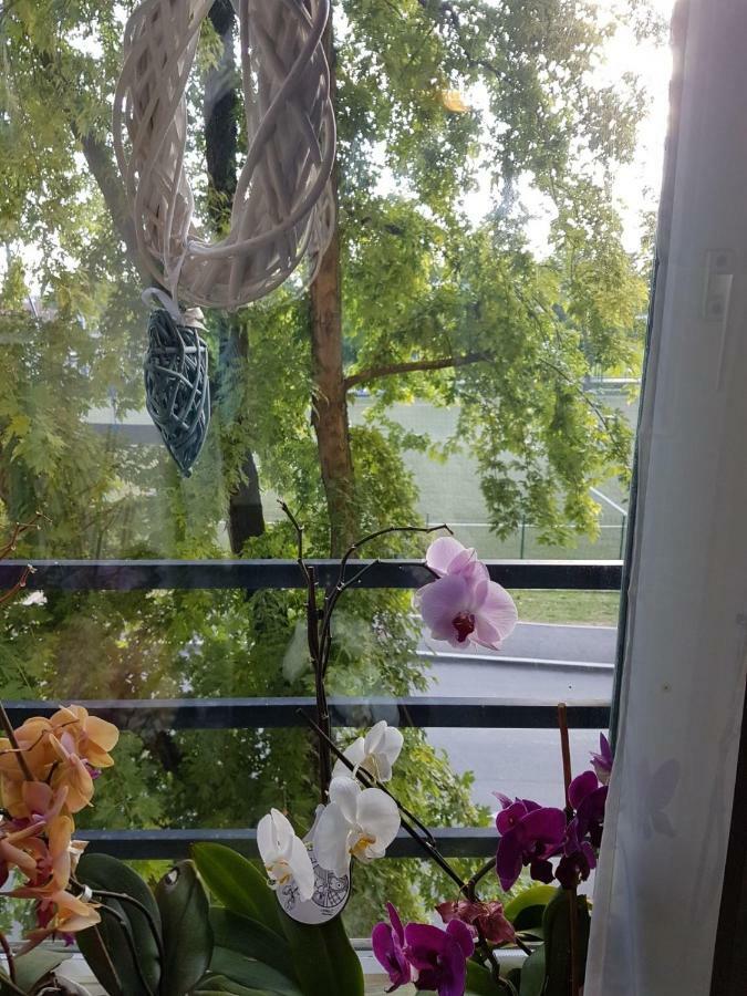 Studio apartman Zagabria Esterno foto